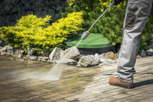 Best Winterizing Services  in Windsor, MO